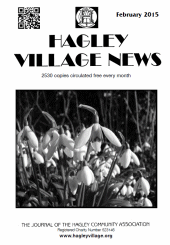 The Village News February 2015