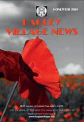The Village News November 2020