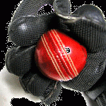 Logo of Hagley Cricket Club