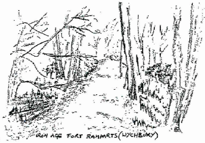 Iron Age Fort (Ramparts)